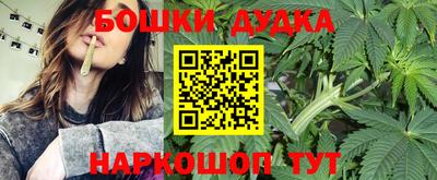 спиды Обь