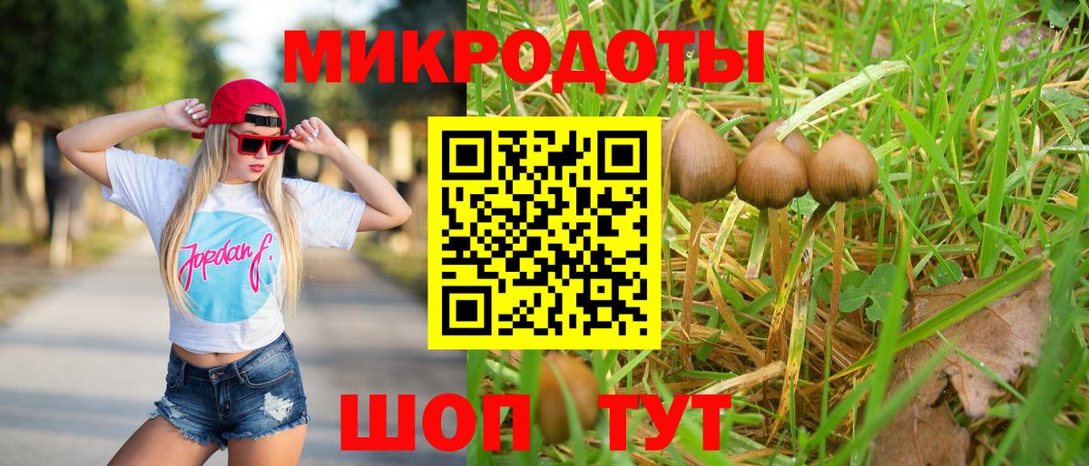 Псилоцибиновые грибы Cubensis Волхов