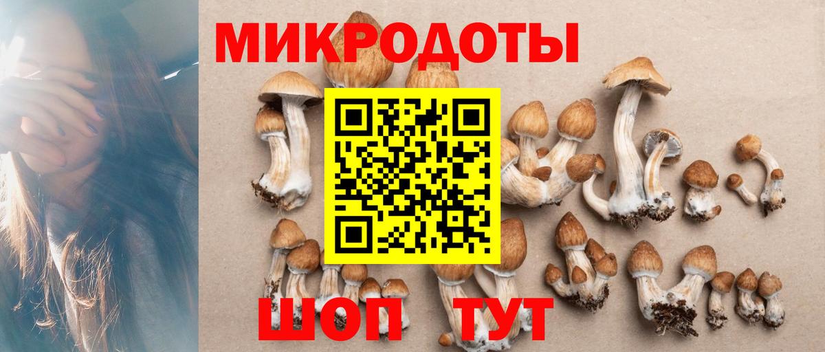 Галлюциногенные грибы ЛСД  Вход с VPN  Волхов 