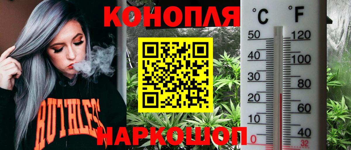 Конопля White Widow  Вход с VPN  Волхов  Конопля тримм 